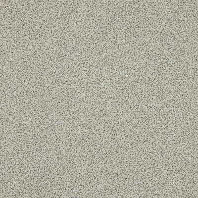 Knightsbridge Berber - Duty Fossil