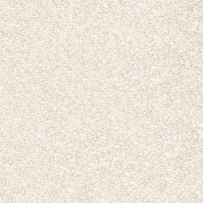 Magnificus - 03 CREAM