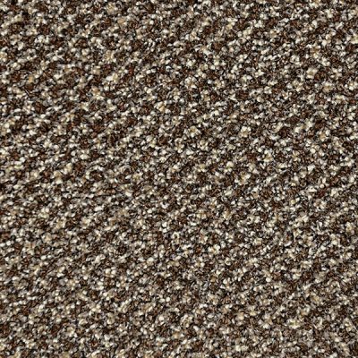 Stainaway Tweed - Earth