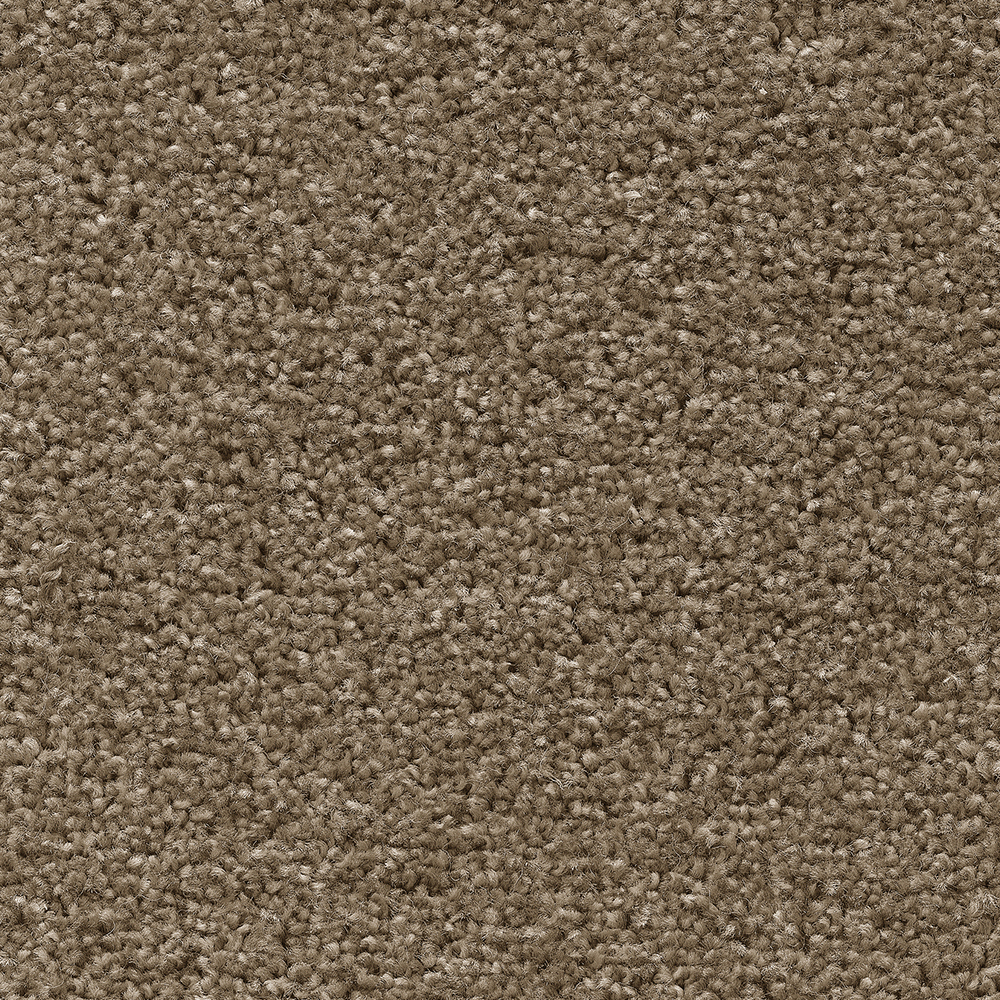 Temptation - Reed Beige