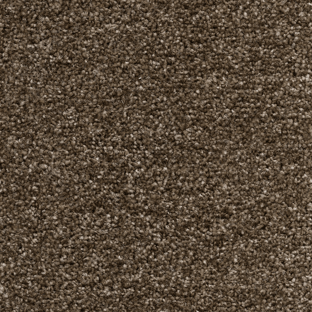 Tuftex Twist - Glace Coffee