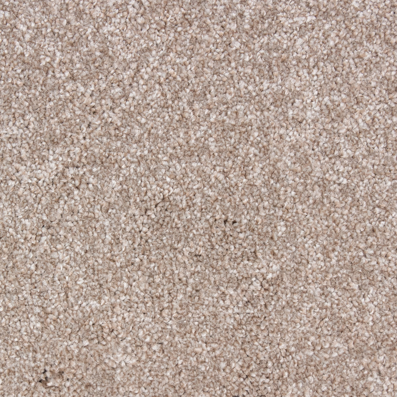 Bellagio Elite - Beige