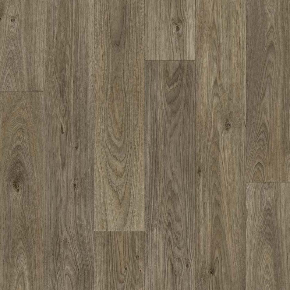 Apollo Vinyl - GAMBEL OAK 619D