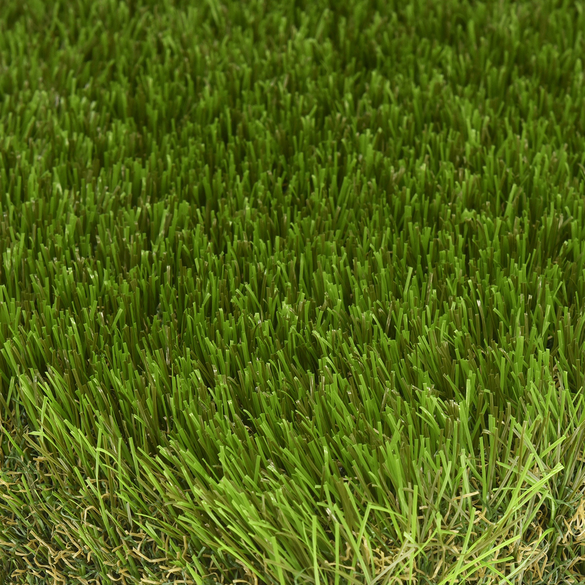 Landscape Plus 45mm - 45MM