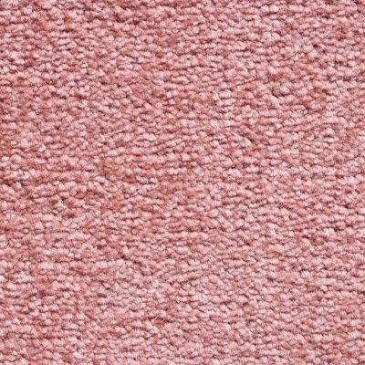 Carousel Plus - Coral