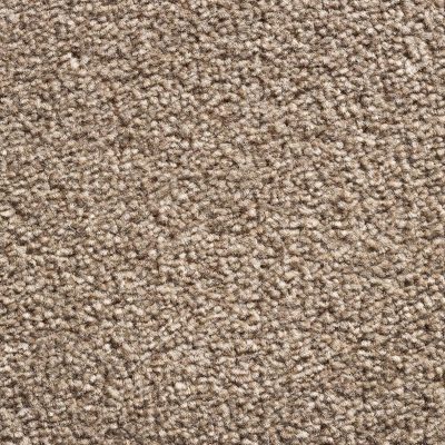 Royal Prestige - Bark