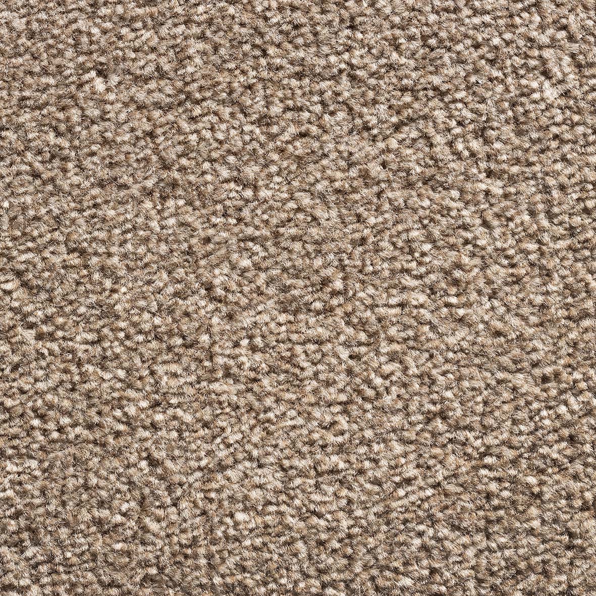 Royal Prestige - Bark