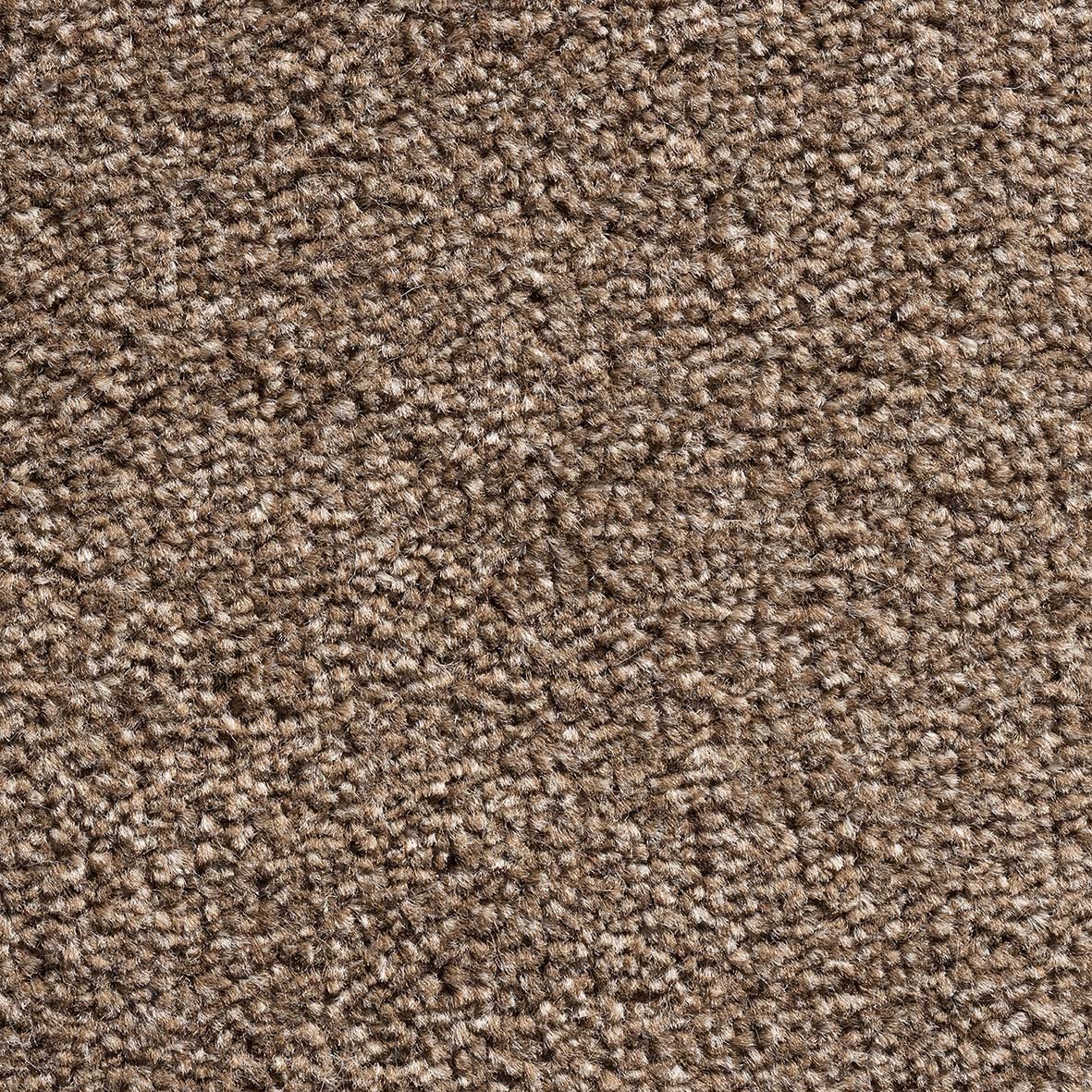 Royal Prestige - Walnut