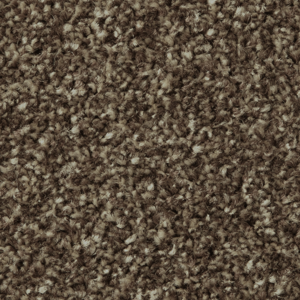 Apollo Plus - Mahogany