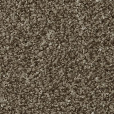 Apollo Plus - Cork Oak