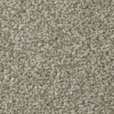 Apollo Plus - Manhattan Taupe