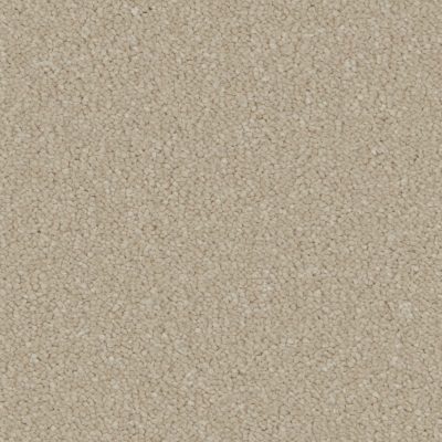 Silken Serenity - Stucco