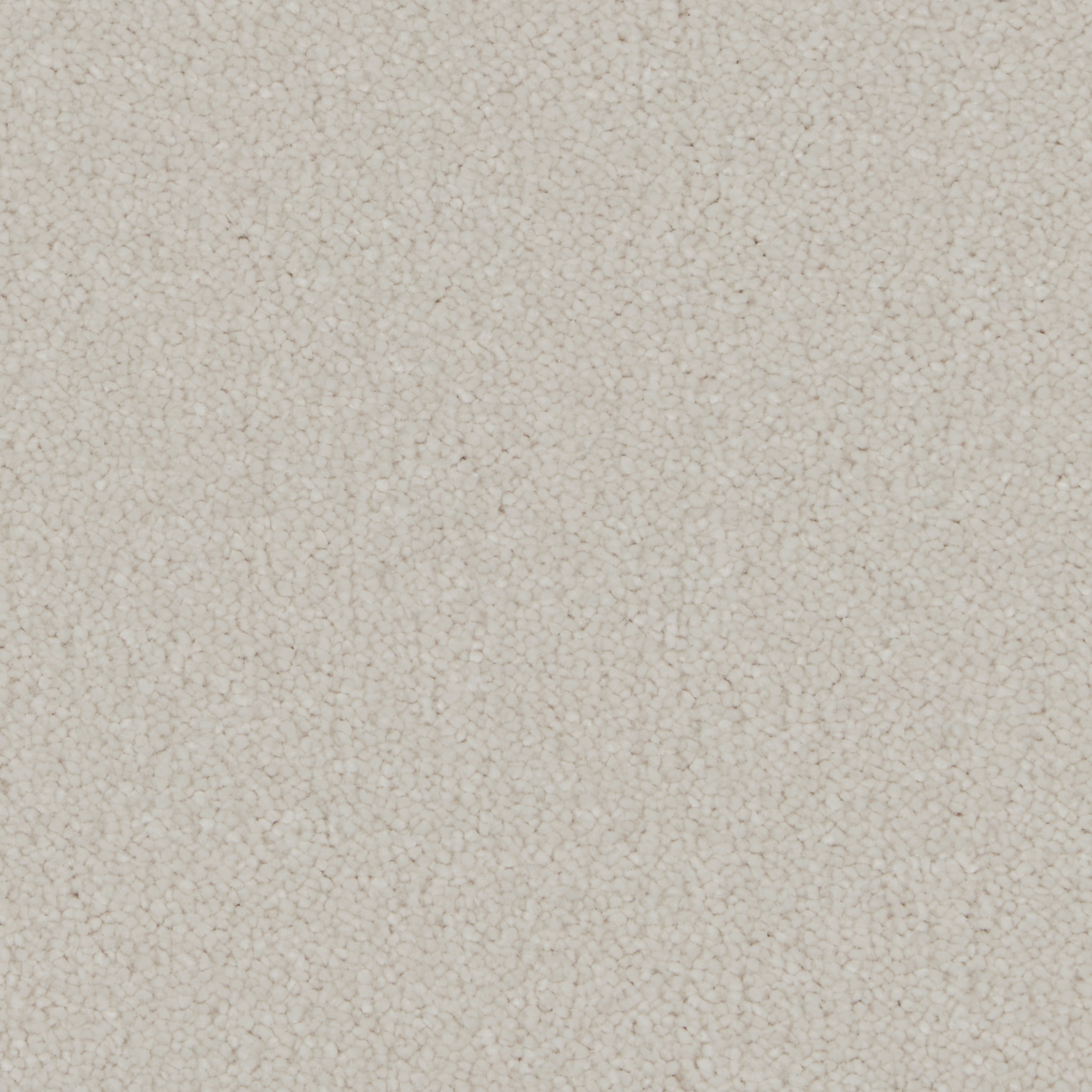 Silken Serenity - Polar White