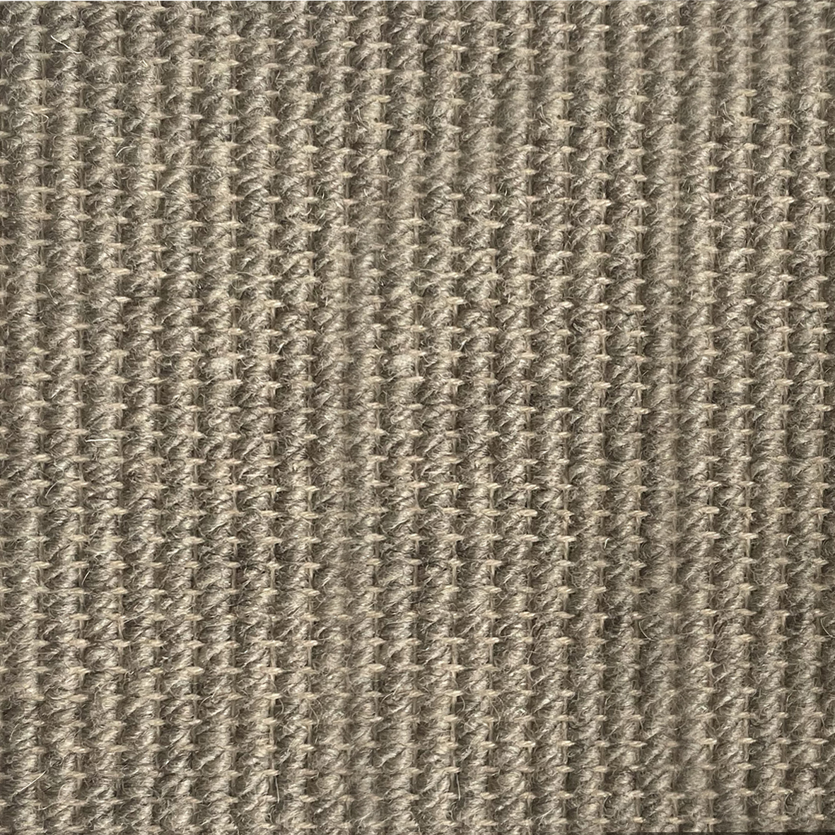 Paradise Plain - BRONZE