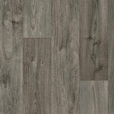 Darwin - OLD ENGLISH OAK