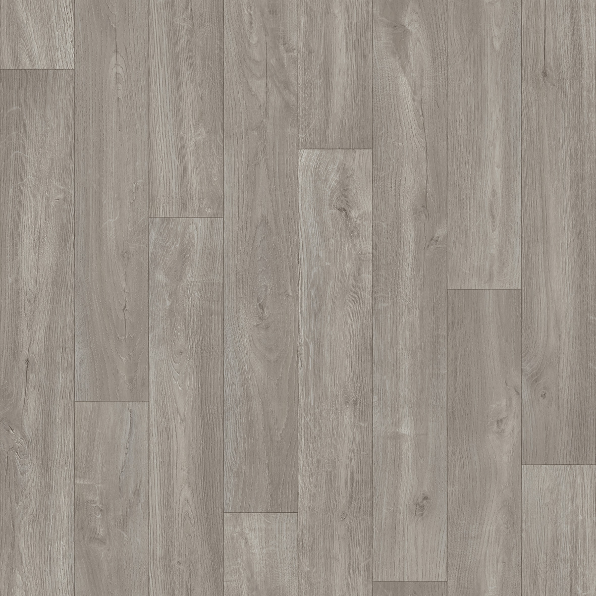 Darwin - FROSTED GREY OAK