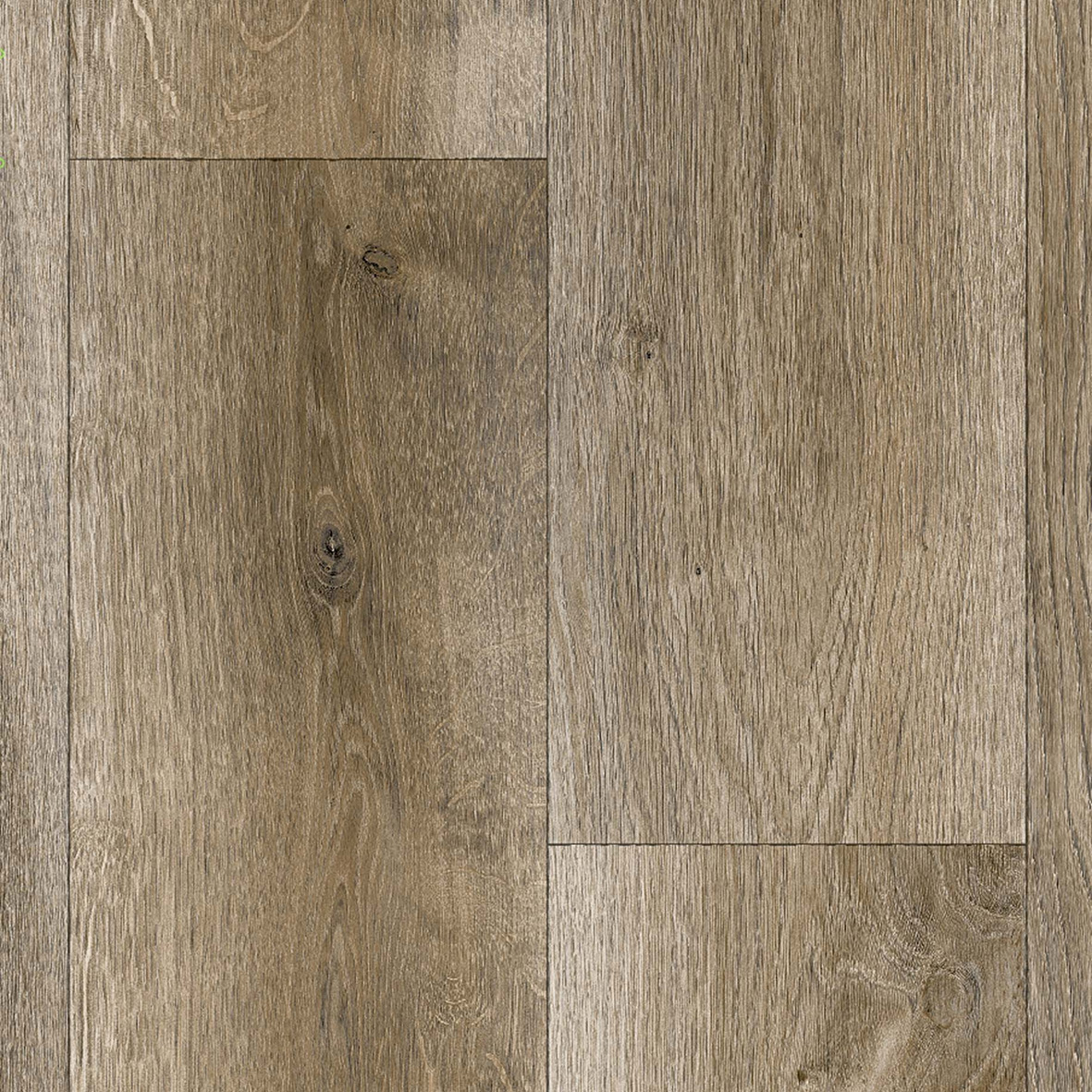 Makalu - SHERWOOD OAK