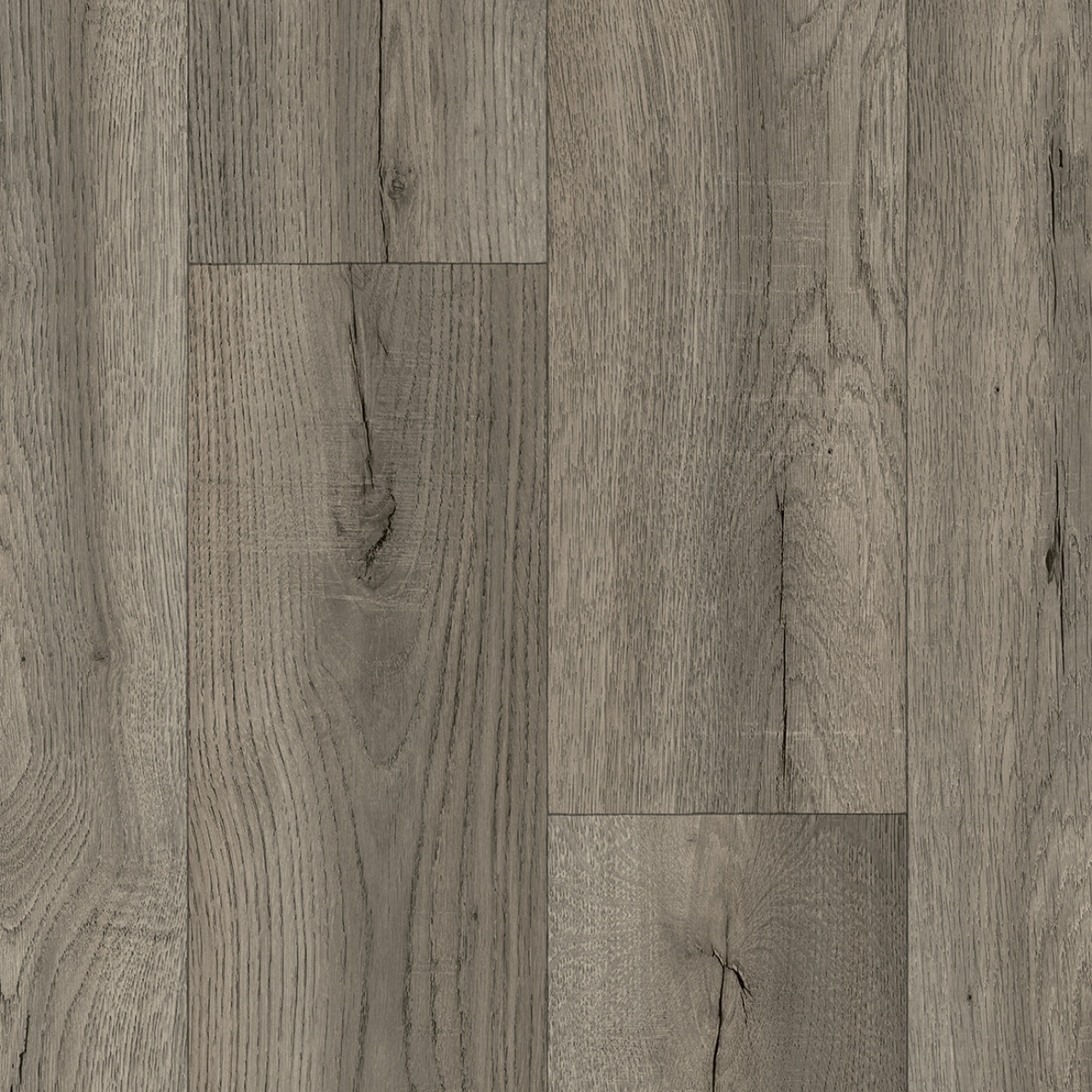 Lasso - SHADOW OAK