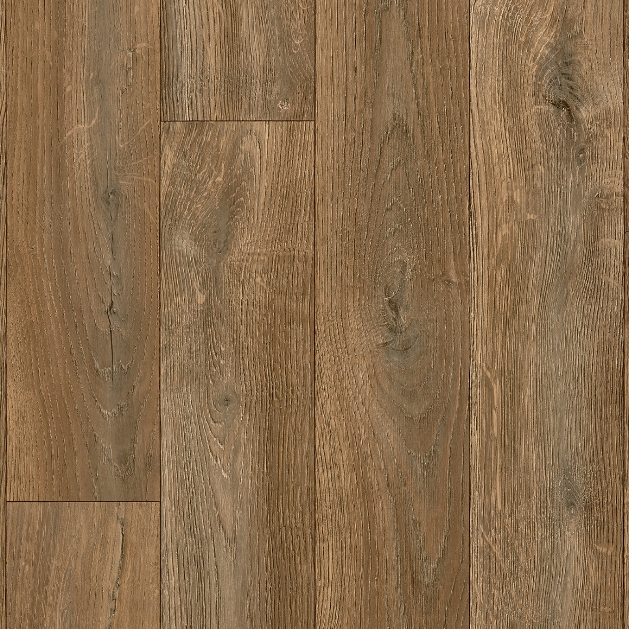Lasso - HERITAGE OAK
