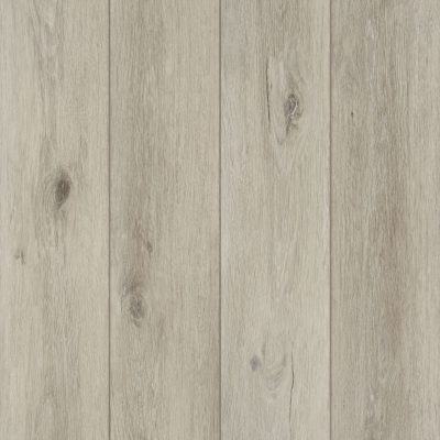 Coretec Naturals + - LVPE859 SWAMP 182 X 1220 8MM 2.66M2